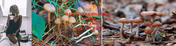 марки nbome Наволоки
